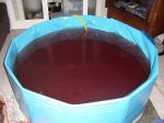 More About Waterbirth