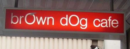 brown-dog-sign brown-dog-sign