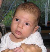 jasper