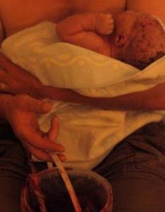 placenta-crop