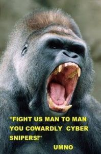 gorrilla