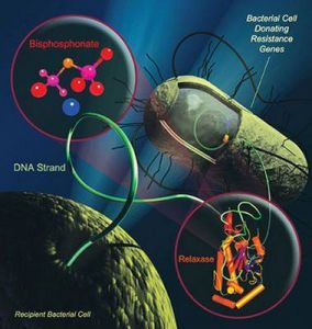 4_antibioticresistantbacteria_13